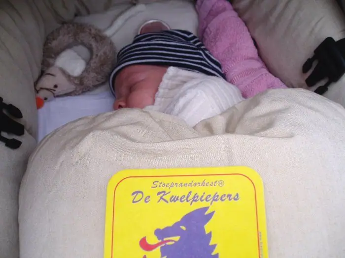 Het jongste Kwelpiepertje